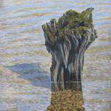 Lakeside stump