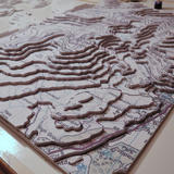 Relief map detail