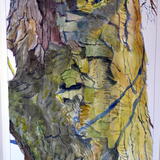Tree study