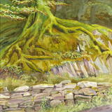 Forest edge, Rydal - study