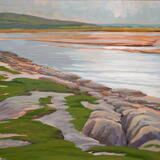 Limestone shore, Silverdale