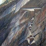 Looking up, Hodge Close Quarry