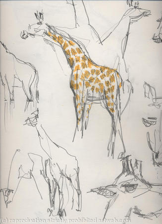 Sketchmob summer school PATRICK 8