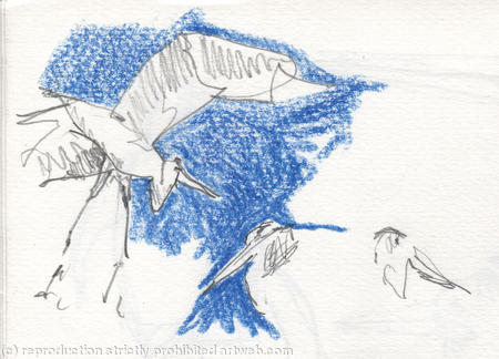 Sketchmob summer school PATRICK 3