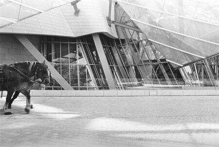 Fondation Louis Vuitton plus horse