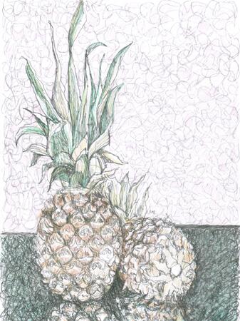 Pineapple sketch 