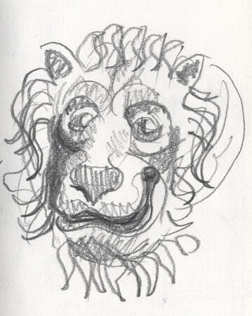Lion sketch Venice