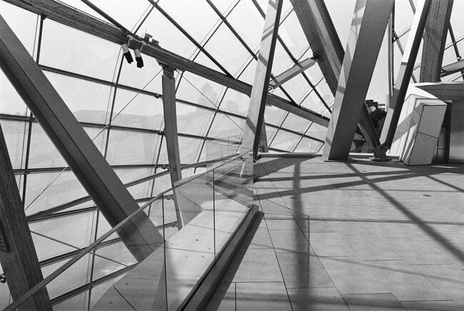Fondation Louis Vuitton - roof terrace