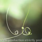 Tendril