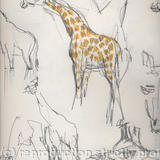 Sketchmob summer school PATRICK 8