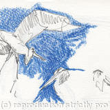 Sketchmob summer school PATRICK 3