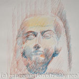 Welcome Institute Drawing