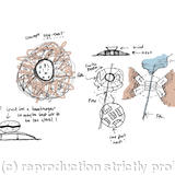 Birds nest concept diagrams coloured