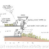 Birds nest concept section coloured