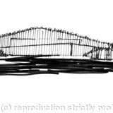 Initial building bern and bridge concept 2