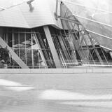 Fondation Louis Vuitton plus horse