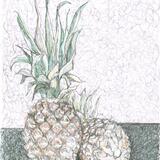 Pineapple sketch 
