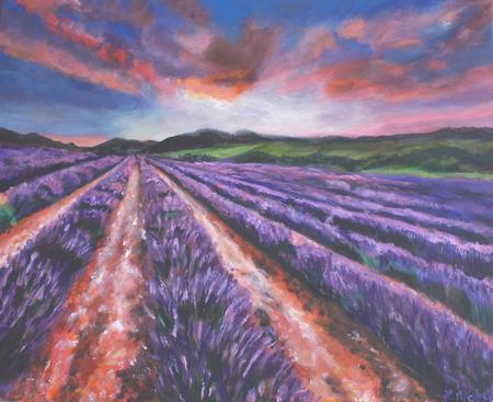 Lavender Fields
