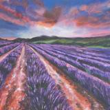 Lavender Fields - 51 x 40cm - SOLD