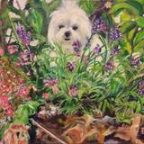 Poppy - 50.5 x 40.5cm - SOLD