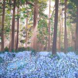 Bluebell Wood 91 x 60cm - SOLD