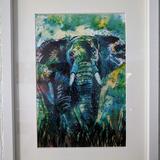 Big Jay (print) - 43 x 33cm - £20