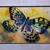 In Flight - 14 x 11cm - £20