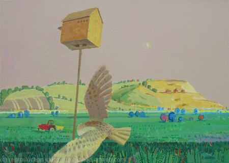 Owl Box and Barn Owl on the Wittersham Levels