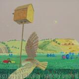 Owl Box and Barn Owl on the Wittersham Levels