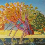 Ancient Yew, Wilmington, Sussex