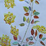 Study of Yellow Roses