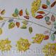 Yellow Roses - Still Life