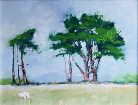 Memorial Trees, Mount Edgecombe, SE Cornwall