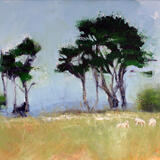 Memorial Trees, The Deer Park, Mount Edgecombe