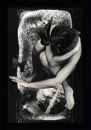 Casualties of war remain