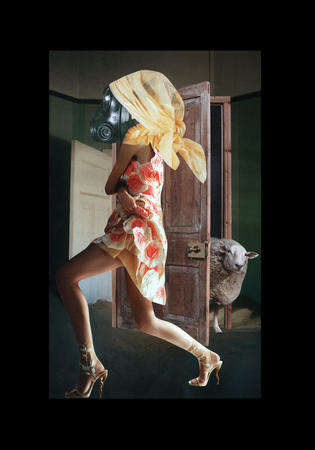 Every rose has its thorn