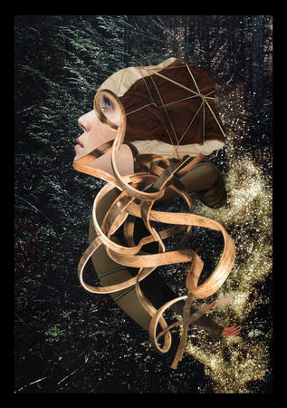 Once upon a time...The end.