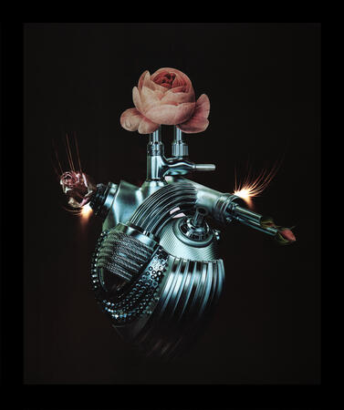 The Metamorphosis of Love 