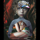 Heute bin ich Schmetterling