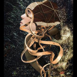 Once upon a time...The end.