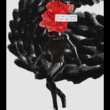 I.A.( je n'ai rien à perdre, je suis déjà mort)