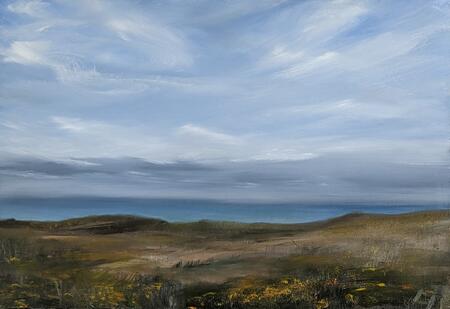 Atlantic Gorse near Carn Galver 