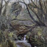 Ancient Woodland, Cornwall 