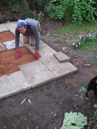 Shed building Aug 2012
