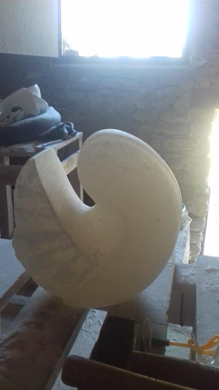 Nautilus Bird form - polished