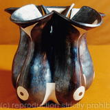 Gourd pot