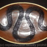 Metallic red 'snake' dish