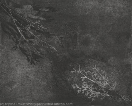 Burn, Port le\'Herbert