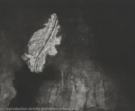 Leaf, Port le\'Herbert