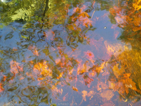 Autumn Day, Nova Scotia